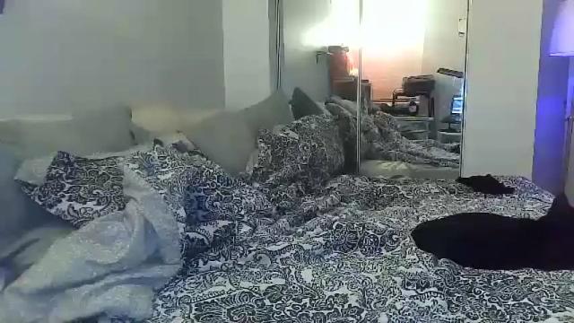 Image 7 of tsamberwhite007 Stream on Chaturbate on 1 month ago