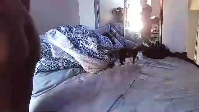 Image 3 of tsamberwhite007 Stream on Chaturbate on 1 month ago