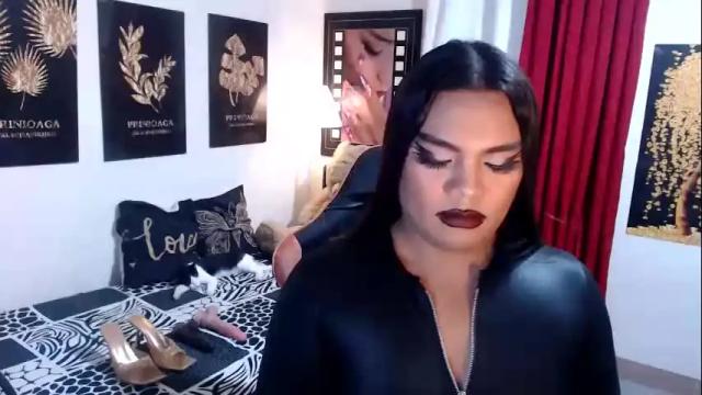 Image 12 of tsbrianabankhugecock Stream on Chaturbate on 14 days ago