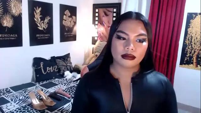 Image 3 of tsbrianabankhugecock Stream on Chaturbate on 14 days ago
