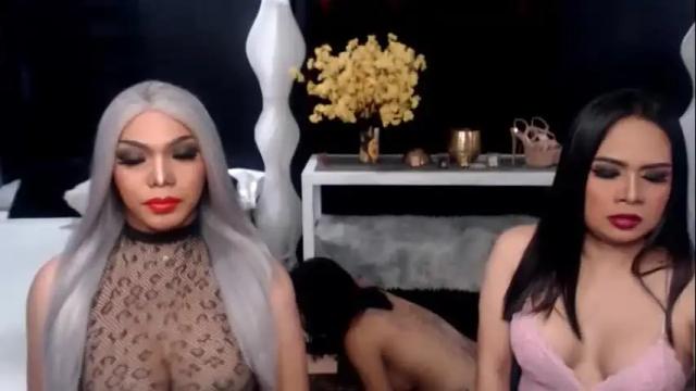 Image 2 of tsgrandshow Stream on Chaturbate on 24 days ago