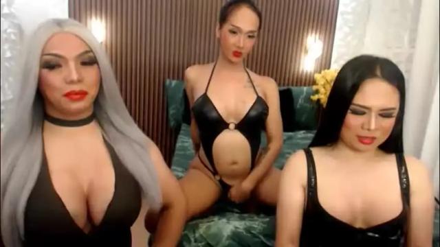 Image 3 of tsgrandshow Stream on Chaturbate on 2 months ago