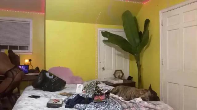 Thumbnail 1, tsmoziah's Stream at Chaturbate, 17 months ago