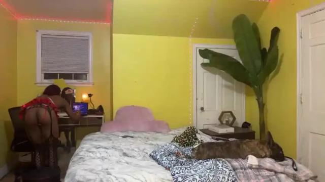 Image 4 of tsmoziah Stream on Chaturbate on 17 months ago