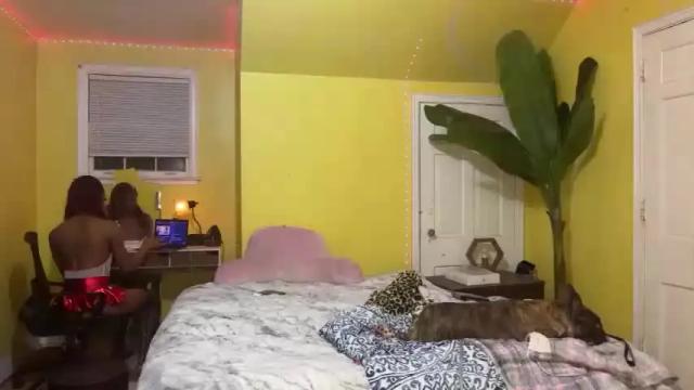 Thumbnail 2, tsmoziah's Stream at Chaturbate, 17 months ago
