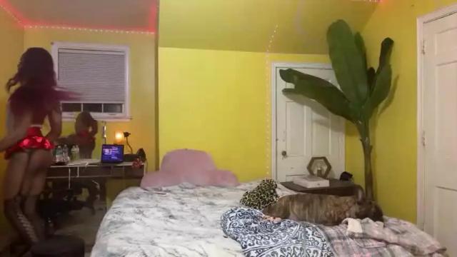 Image 7 of tsmoziah Stream on Chaturbate on 17 months ago