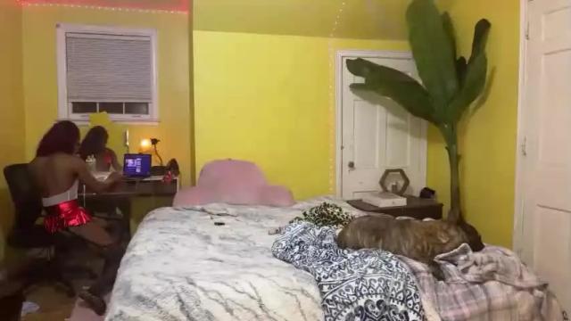Thumbnail 3, tsmoziah's Stream at Chaturbate, 17 months ago