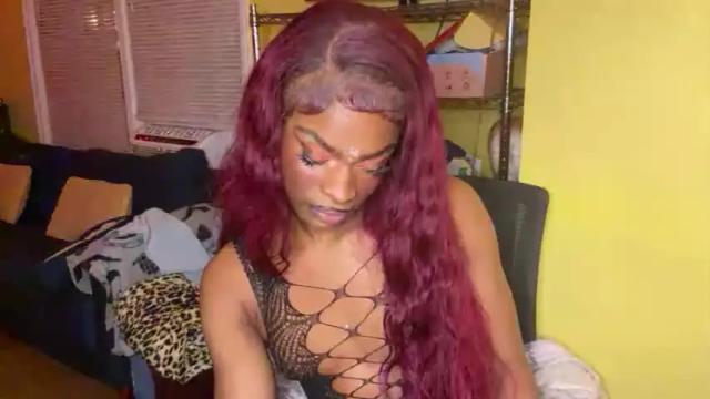 Image 4 of tsmoziah Stream on Chaturbate on 17 months ago