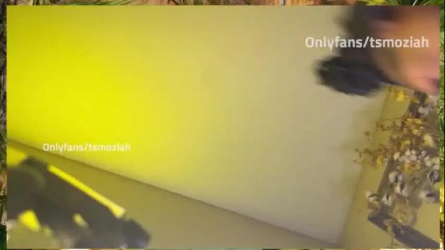 Image 8 of tsmoziah Stream on Chaturbate on 1 month ago