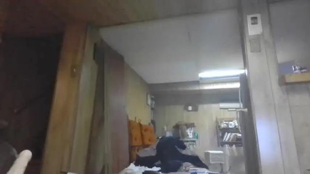 Thumbnail 3, tsnitra's Stream at Chaturbate, 25 months ago