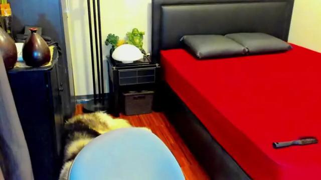 Image 6 of tssophisticatedx Stream on Chaturbate on 13 months ago