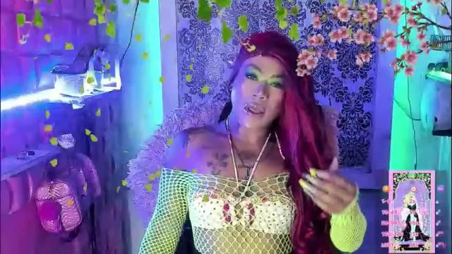 Image 3 of tsviolett Stream on Chaturbate on 2 months ago