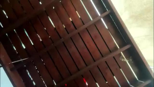 Thumbnail 3, tswednesdayadamss's Stream at Chaturbate, 11 days ago