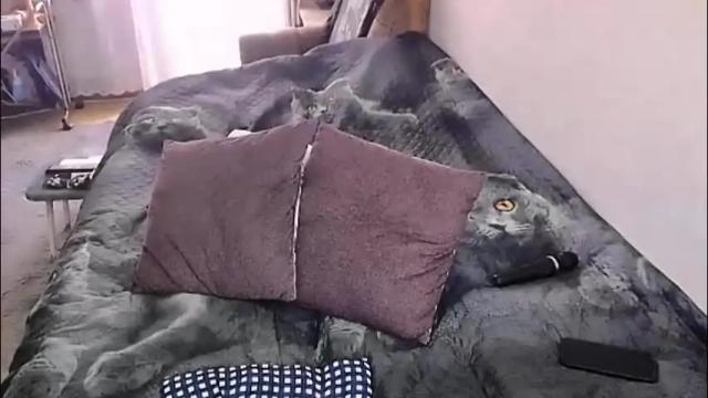 Image 10 of tviks Stream on Chaturbate on 1 month ago
