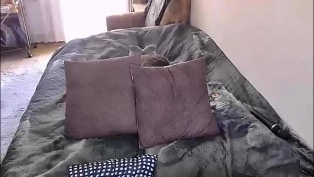 Image 6 of tviks Stream on Chaturbate on 1 month ago
