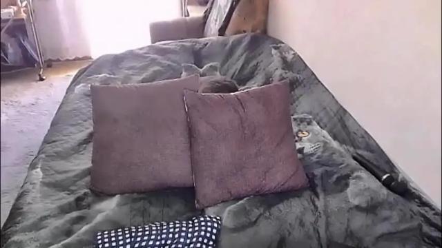 Image 7 of tviks Stream on Chaturbate on 1 month ago