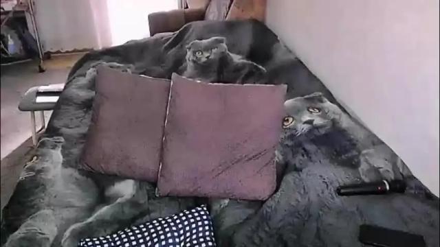 Image 8 of tviks Stream on Chaturbate on 1 month ago