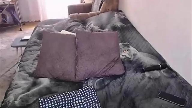Image 2 of tviks Stream on Chaturbate on 1 month ago