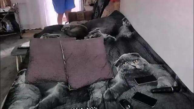 Image 8 of tviks Stream on Chaturbate on 1 month ago