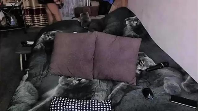 Image 7 of tviks Stream on Chaturbate on 22 days ago
