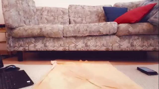 Thumbnail 3, tvstefanie's Stream at Chaturbate, 23 days ago