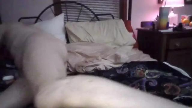 Image 3 of twin53 Stream on Chaturbate on 20 days ago