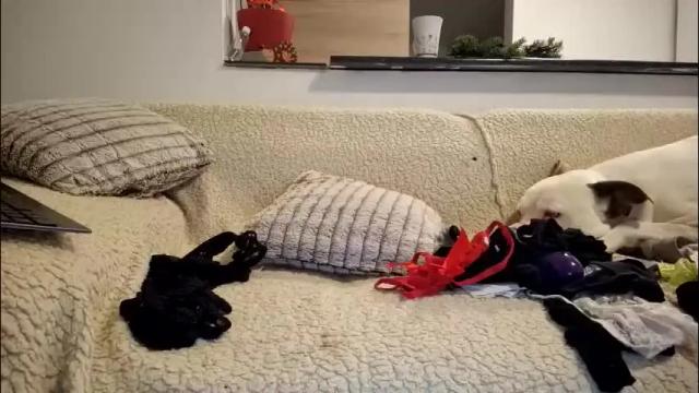 Image 7 of tymika Stream on Chaturbate on 20 days ago