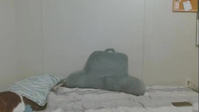 Image 3 of tyyyler93 Stream on Chaturbate on 1 month ago