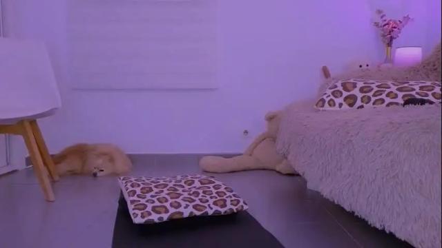 Image 7 of unic0rnporn Stream on Chaturbate on 1 month ago