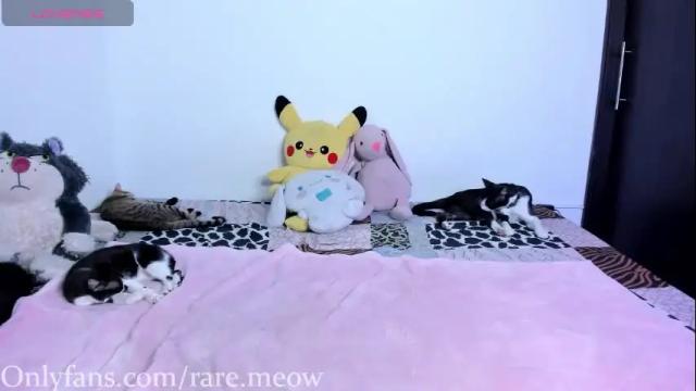 Image 8 of uryko_yor Stream on Chaturbate on 28 days ago