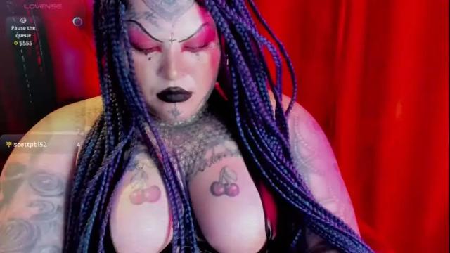 Image 7 of v_enuuus Stream on Chaturbate on 3 months ago