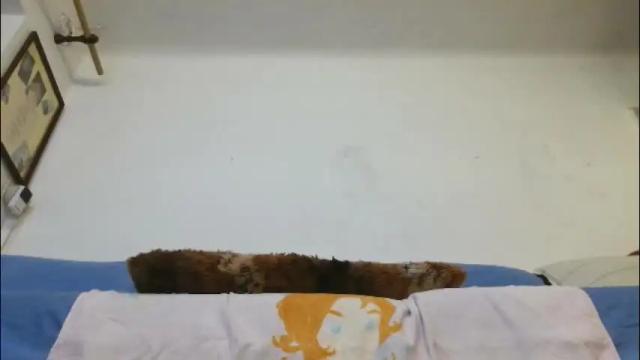 Image 7 of valemer Stream on Chaturbate on 4 days ago
