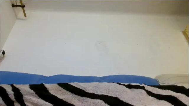 Image 6 of valemer Stream on Chaturbate on 1 day ago