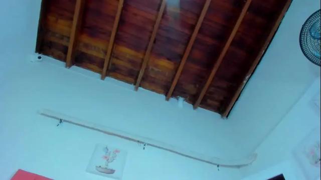 Image 11 of valen_rose0 Stream on Chaturbate on 1 month ago