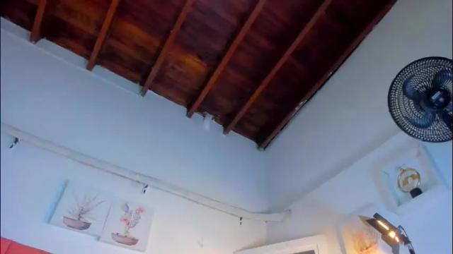 Image 4 of valen_rose0 Stream on Chaturbate on 2 months ago