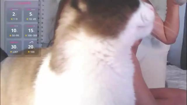 Image 10 of valen_thompson Stream on Chaturbate on 1 month ago