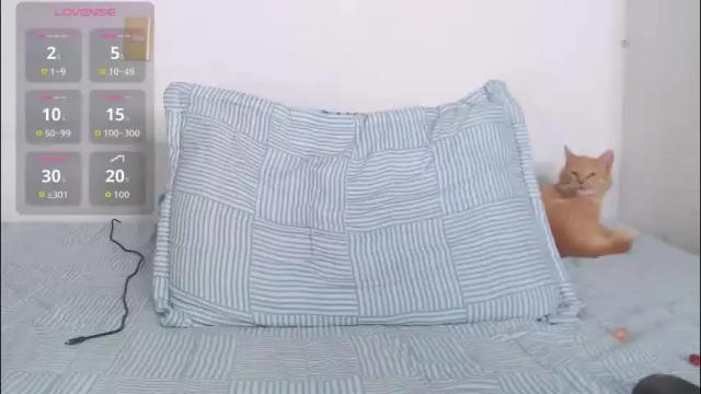 Image 7 of valen_thompson Stream on Chaturbate on 1 month ago