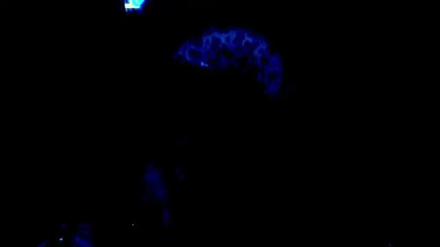 Image 3 of valentinas_dream Stream on Chaturbate on 4 months ago