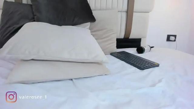 Thumbnail 1, valerose_'s Stream at Chaturbate, 14 months ago