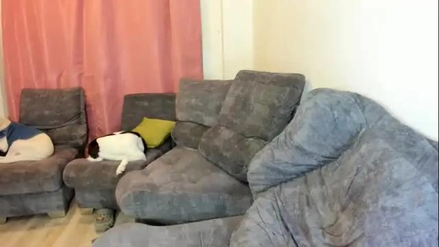 Image 8 of valery_rabbit_hot Stream on Chaturbate on 12 months ago