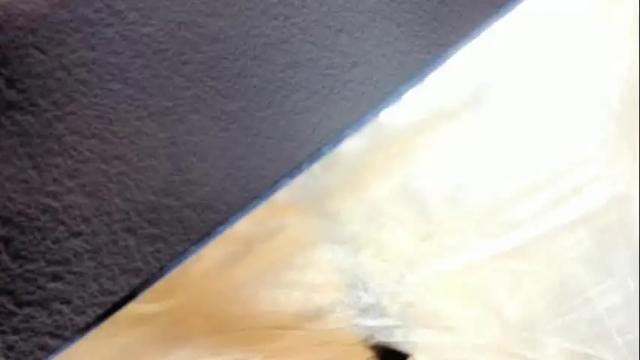 Thumbnail 3, valery_smith15's Stream at Chaturbate, 2 months ago