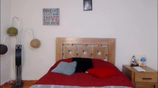 Image 3 of valesantodomingo Stream on Chaturbate on 1 month ago