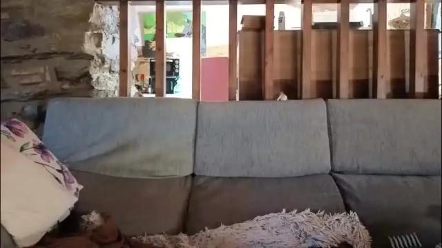 Thumbnail 3, vampwoman's Stream at Chaturbate, 1 month ago