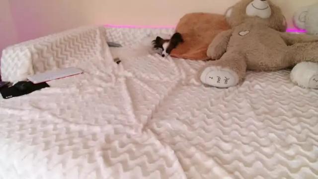 Thumbnail 3, vanessa__queen's Stream at Chaturbate, 14 months ago