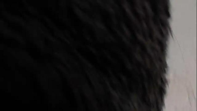 Image 3 of vanessa_stg Stream on Chaturbate on 2 months ago