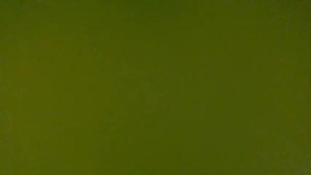 Thumbnail 1, vanessapark's Stream at Chaturbate, 16 months ago