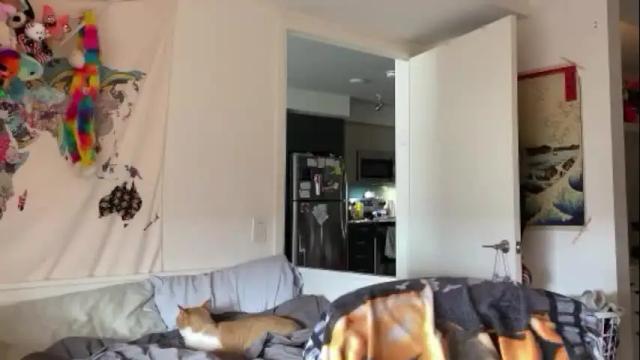 Image 10 of vanessapark Stream on Chaturbate on 1 month ago