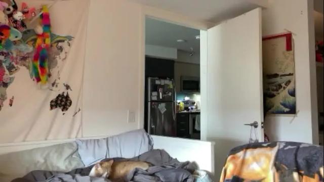 Image 11 of vanessapark Stream on Chaturbate on 1 month ago