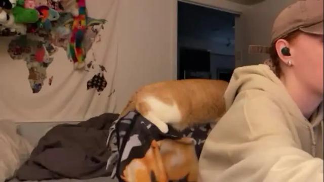 Image 2 of vanessapark Stream on Chaturbate on 1 month ago