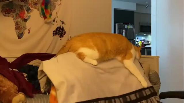 Image 3 of vanessapark Stream on Chaturbate on 2 months ago